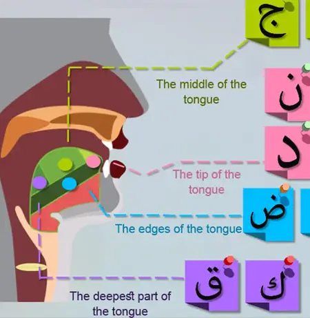 Shia Hoza Recite Quran (Nazra Quran) Course